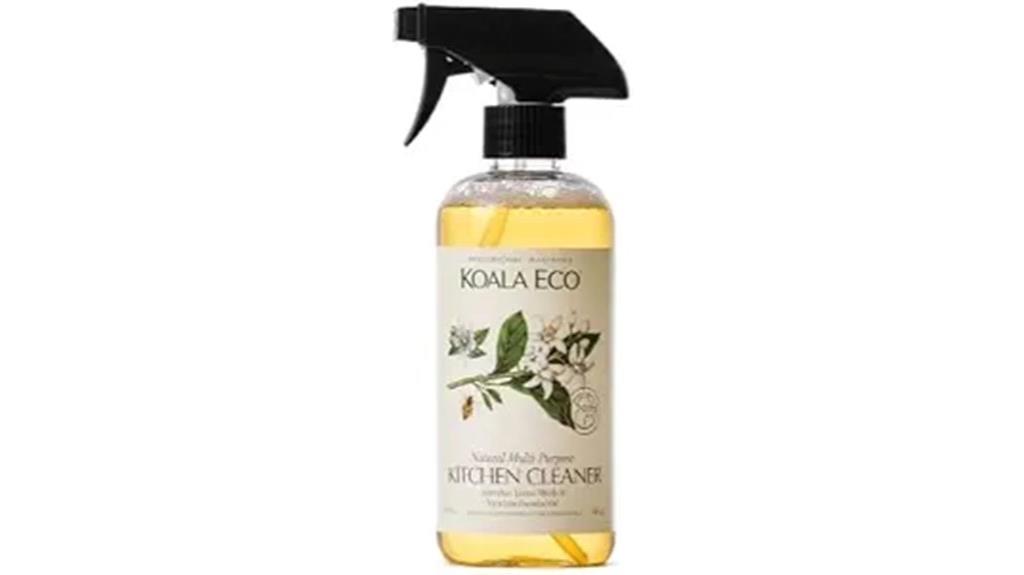 eco friendly kitchen cleaning
