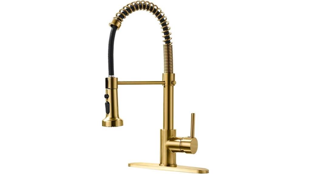 elegant pull down sprayer faucet