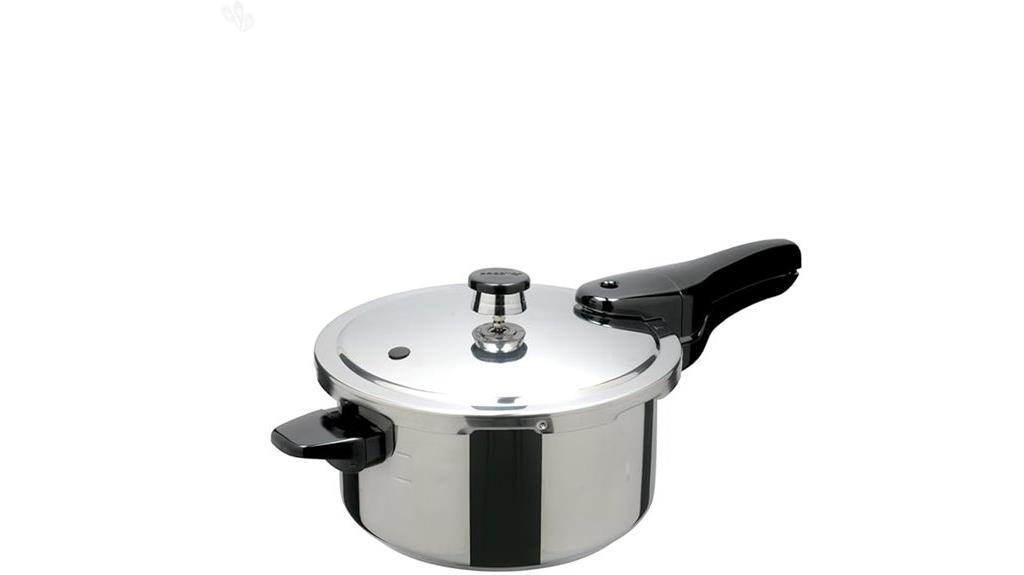 stainless steel pressure cooker