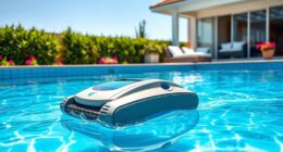 affordable pool cleaner options