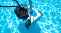 pool cleaner expenses revealed