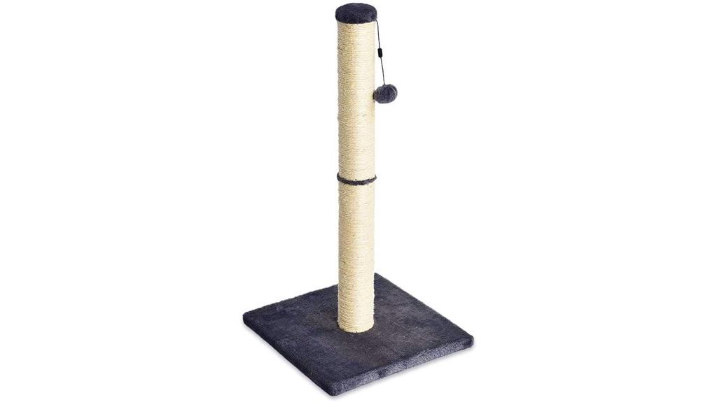 basic cat scratcher post
