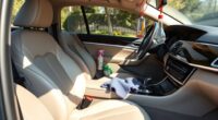 diy car interior cleaning