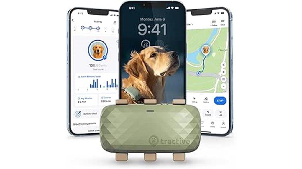 dog gps with virtual fence