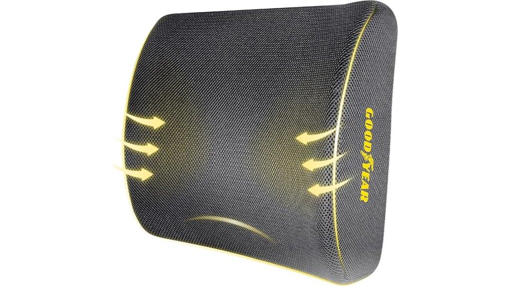 ergonomic lumbar support pillow