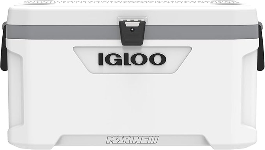 insulated portable cooler