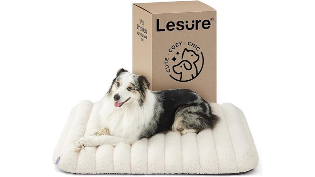 large orthopedic dog bed