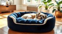 luxury dog beds 2025