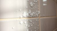 shower hard water solutions