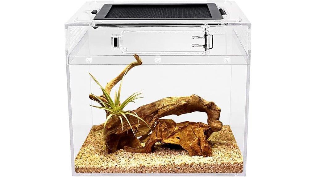 small glass reptile enclosure