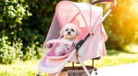 top small dog strollers