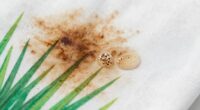 enzymes effectively remove stains