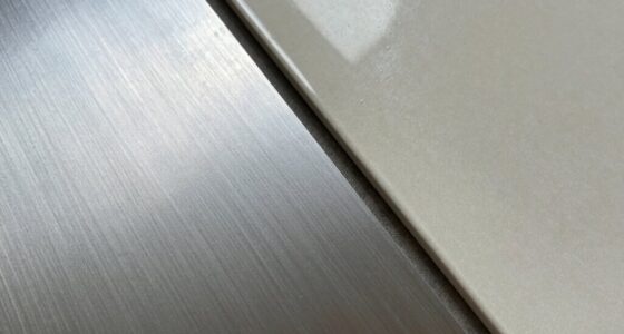 titanium vs ceramic plates