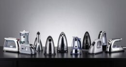 top professional clothes steamer list