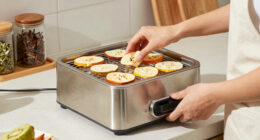 11 Best Food Dehydrator Stainless Steel in 2026