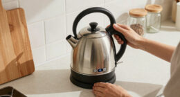 12 Best Electric Kettle With Temperature Control in 2026