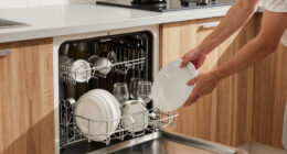 14 Best Countertop Dishwasher for Apartments in 2026