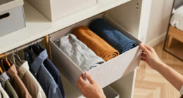 14 Best Freestanding Wardrobe Closet Organizers in 2026