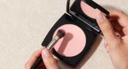 15 Best Best Premium Blush Palette in 2026