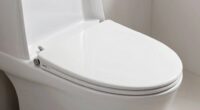 bidet seat plumbing requirements