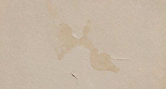 detecting hidden wall moisture