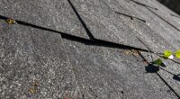 regular roof inspection schedule