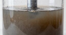 water tank maintenance importance