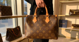 12 Best Louis Vuitton Handbags in 2026