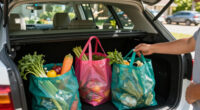12 Best Reusable Shopping Bags in 2026