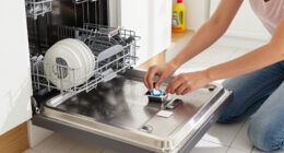 13 Best Dishwasher Cleaners for a Fresher, Cleaner Machine in 2027